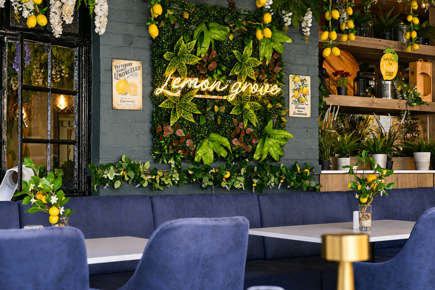 The Lemon Grove garden